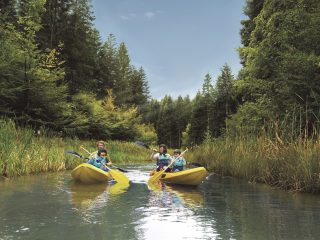 Center Parcs