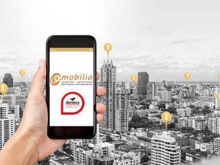 Demeco Pro-emobilia