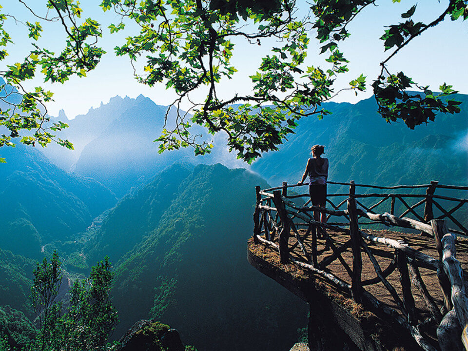 Top of travel 5