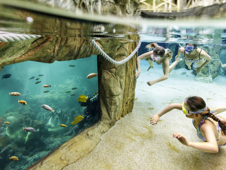 Center Parcs 6