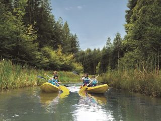 Center Parcs 7