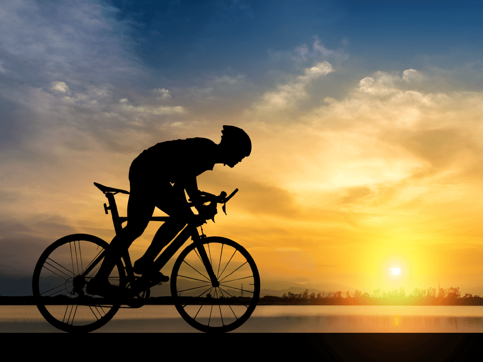 GO Sport